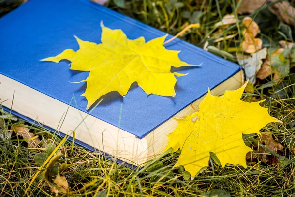 Menghadirkan Makna dalam Aktivitas yang Biasa